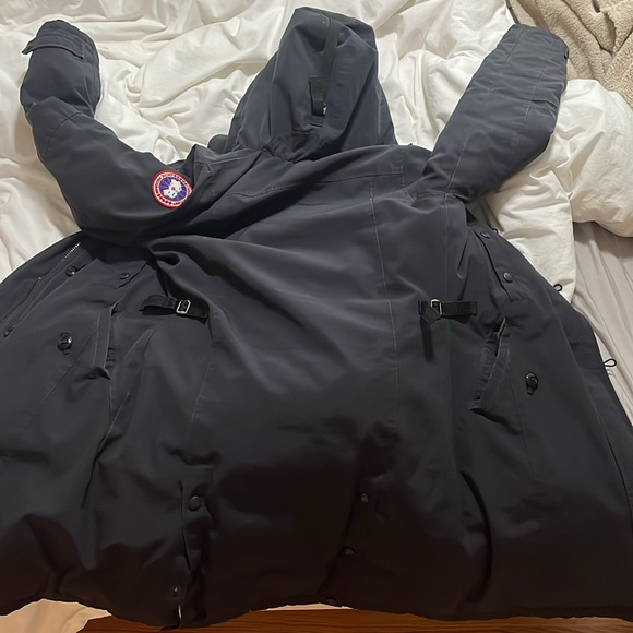 Canada goose - Picture 7 of 9